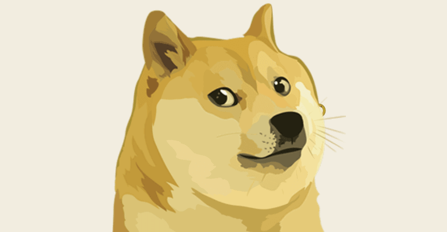 beleggen in dogecoin