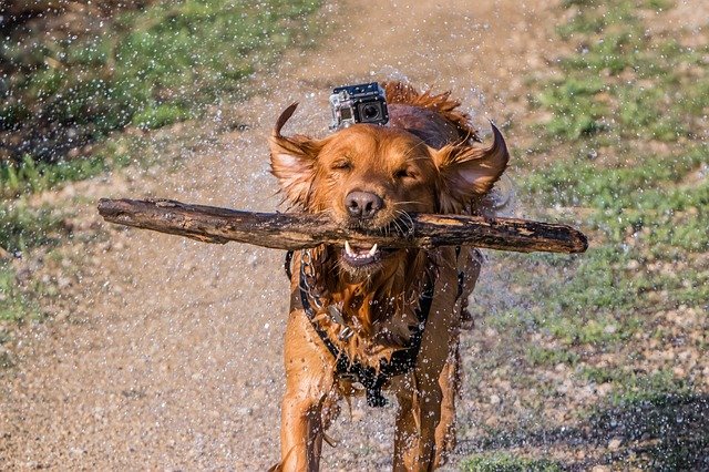 GoPro aandelen kopen